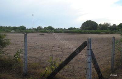1200P Prime Bare Land (3 x 400P Blocks)