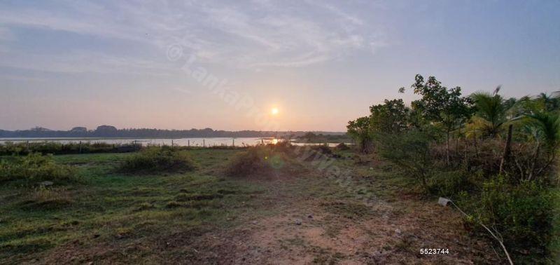 63.8 perches bare land for sale in Kandy for Rs. 1.70 lakhs (per perch)