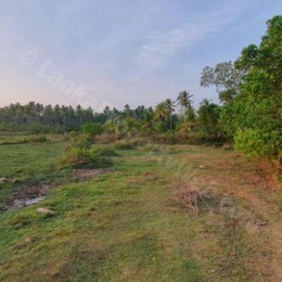 63.8 perches bare land for sale in Kandy for Rs. 1.70 lakhs (per perch)