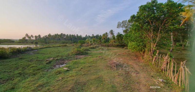 63.8 perches bare land for sale in Kandy for Rs. 1.70 lakhs (per perch)