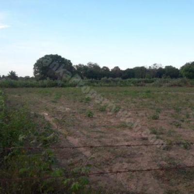 1200P Prime Bare Land (3 x 400P Blocks)