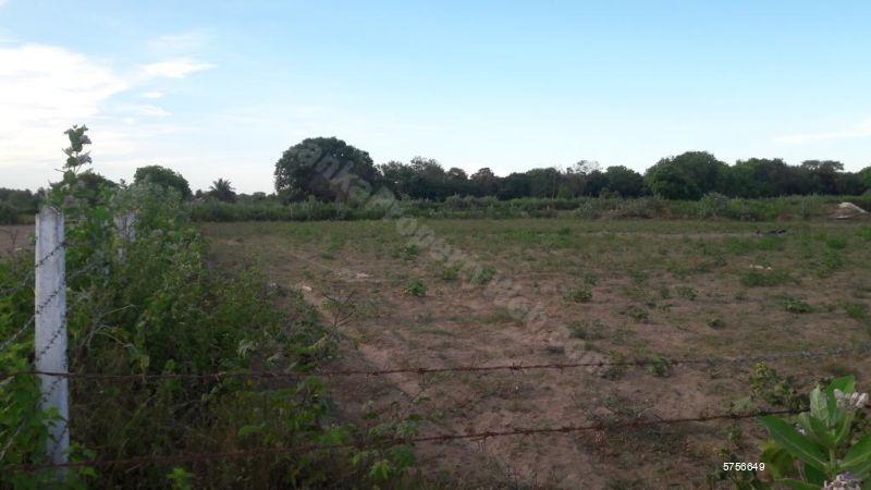 1200P Prime Bare Land (3 x 400P Blocks)