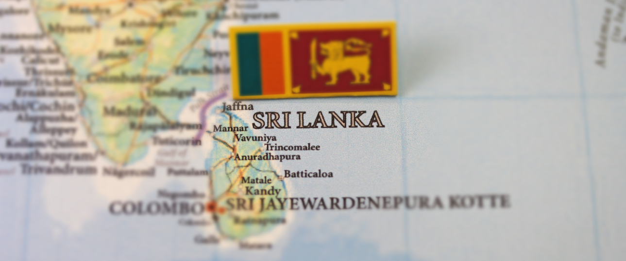 Welcome To The  Ran Property